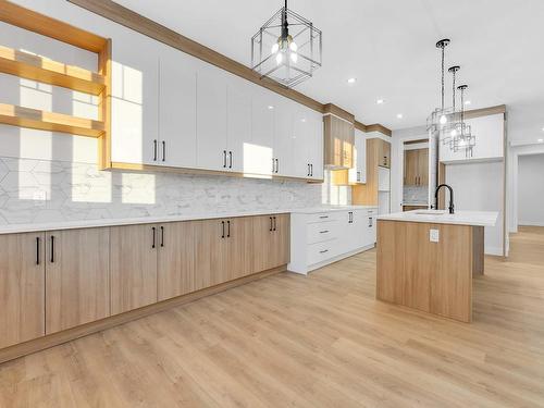 8410 228A Street, Edmonton, AB - Indoor Photo Showing Kitchen