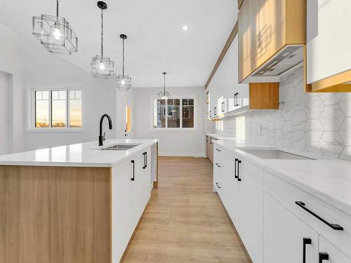 8410 228A Street, Edmonton, AB - Indoor Photo Showing Kitchen With Double Sink With Upgraded Kitchen