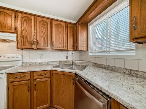 1052 Jones Crescent, Edmonton, AB - Indoor Photo Showing Kitchen With Double Sink