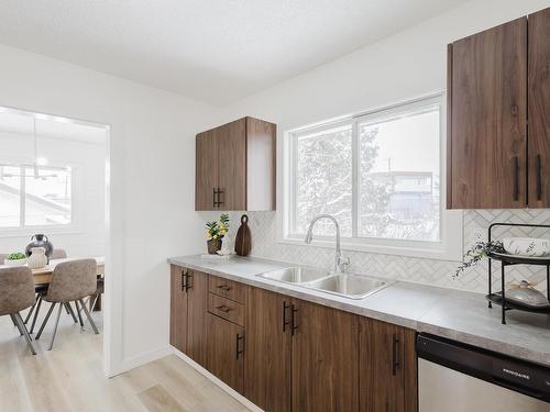 10403 65 Avenue, Edmonton, AB - Indoor Photo Showing Kitchen With Double Sink