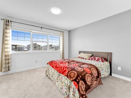 3720 4 Street, Edmonton, AB - Indoor Photo Showing Bedroom