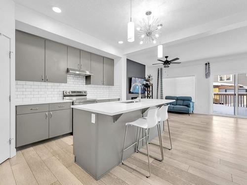 3720 4 Street, Edmonton, AB - Indoor Photo Showing Kitchen With Upgraded Kitchen