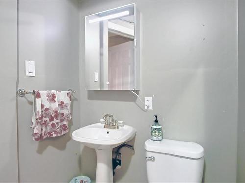 329 Heath Road, Edmonton, AB - Indoor Photo Showing Bathroom