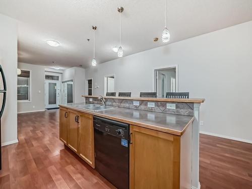 327 4831 104A Street, Edmonton, AB - Indoor Photo Showing Kitchen With Double Sink