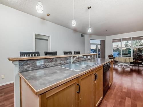 327 4831 104A Street, Edmonton, AB - Indoor Photo Showing Kitchen With Double Sink