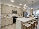 728 Southfork Drive, Leduc, AB  - Indoor Photo Showing Kitchen With Double Sink With Upgraded Kitchen 