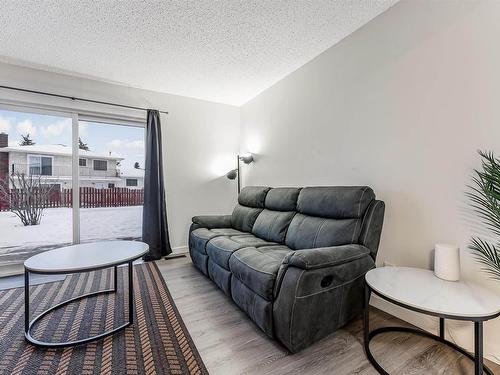 18450 62B Avenue, Edmonton, AB - Indoor Photo Showing Living Room