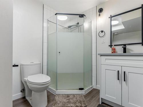 18450 62B Avenue, Edmonton, AB - Indoor Photo Showing Bathroom