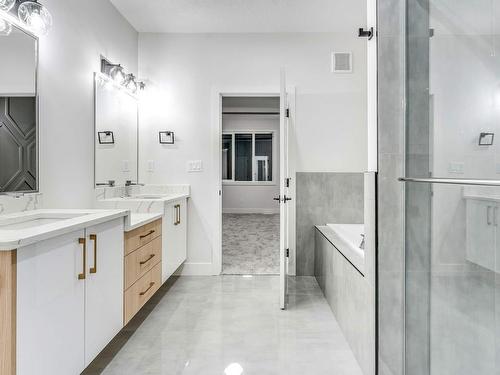 8432 228 Street, Edmonton, AB - Indoor Photo Showing Bathroom