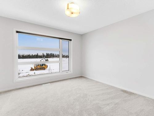 1687 Cavanagh Boulevard, Edmonton, AB - Indoor Photo Showing Other Room