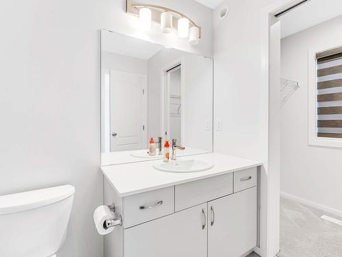 1687 Cavanagh Boulevard, Edmonton, AB - Indoor Photo Showing Bathroom