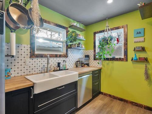 11928 86 Street, Edmonton, AB - Indoor Photo Showing Kitchen With Double Sink