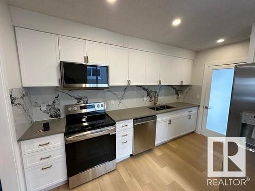 12043 63 Street, Edmonton, AB - Indoor Photo Showing Kitchen With Double Sink