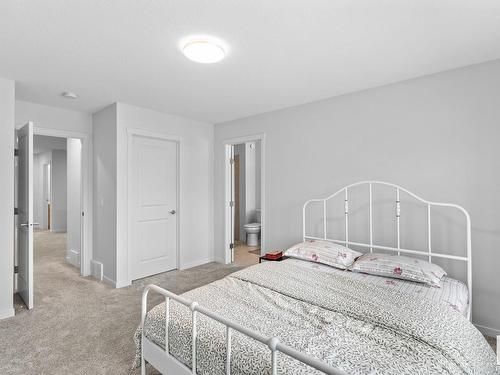 22612 94 Avenue, Edmonton, AB - Indoor Photo Showing Bedroom