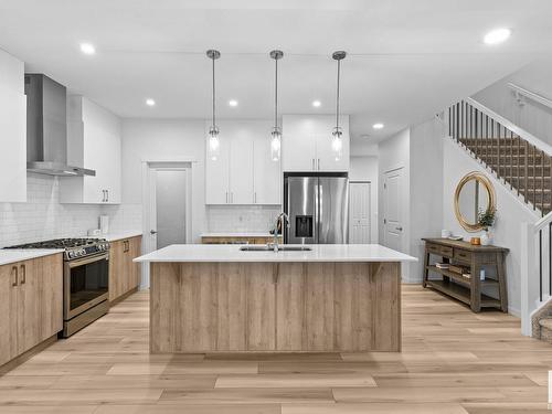 22612 94 Avenue, Edmonton, AB - Indoor Photo Showing Kitchen With Stainless Steel Kitchen With Double Sink With Upgraded Kitchen