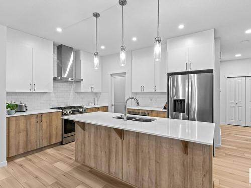 22612 94 Avenue, Edmonton, AB - Indoor Photo Showing Kitchen With Stainless Steel Kitchen With Double Sink With Upgraded Kitchen