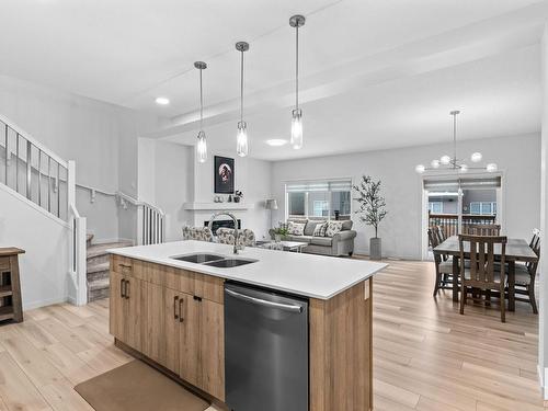 22612 94 Avenue, Edmonton, AB - Indoor Photo Showing Kitchen With Double Sink