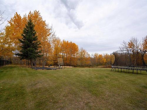 28 26323 Twp Road 532 A, Rural Parkland County, AB - Outdoor