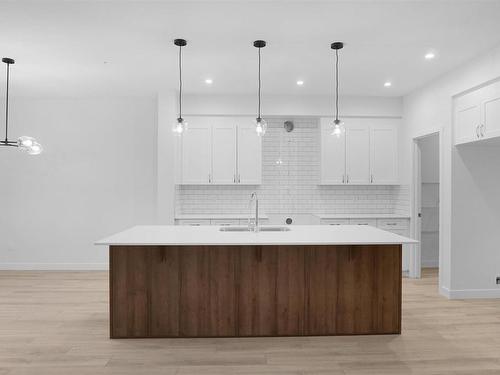 4934 Kinney Road, Edmonton, AB - Indoor Photo Showing Kitchen With Upgraded Kitchen