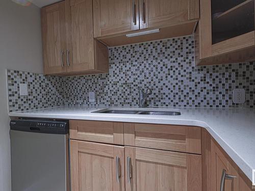 4807 122A Street, Edmonton, AB - Indoor Photo Showing Kitchen With Double Sink