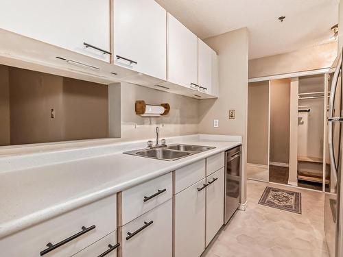 203 11218 80 Street, Edmonton, AB - Indoor Photo Showing Kitchen With Double Sink