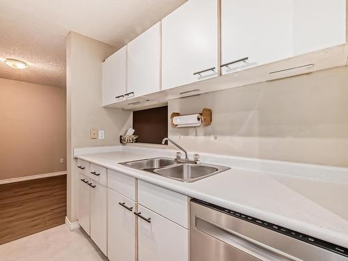 203 11218 80 Street, Edmonton, AB - Indoor Photo Showing Kitchen With Double Sink