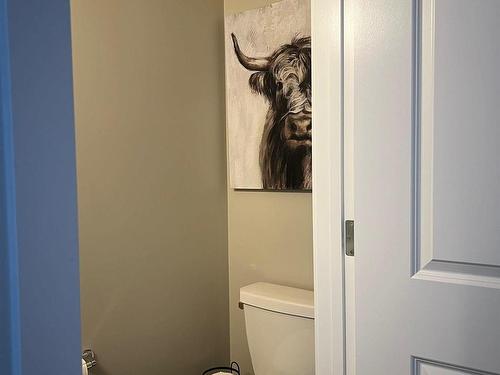 147 Stiles Bend, Leduc, AB - Indoor Photo Showing Bathroom