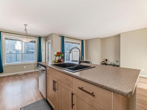 17333 8A Avenue Sw, Edmonton, AB - Indoor Photo Showing Kitchen With Double Sink