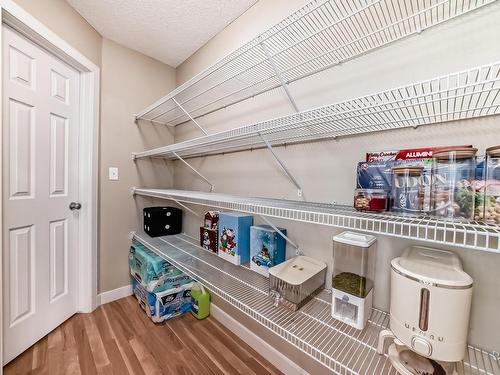 17333 8A Avenue Sw, Edmonton, AB - Indoor With Storage