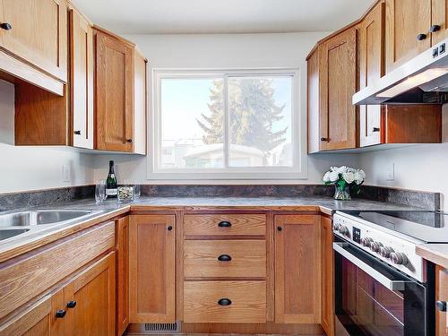 106 Dickinsfield Court, Edmonton, AB - Indoor Photo Showing Kitchen With Double Sink