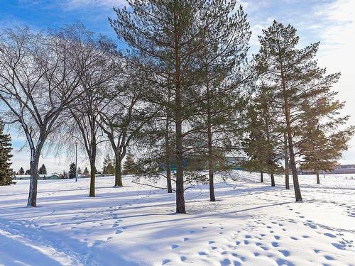 106 Dickinsfield Court, Edmonton, AB - Outdoor With View