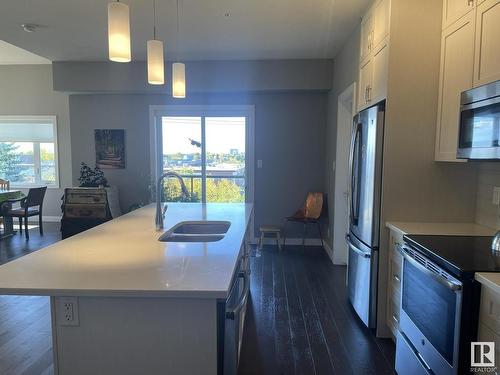 402 8525 91 Street Nw, Edmonton, AB - Indoor Photo Showing Kitchen With Double Sink