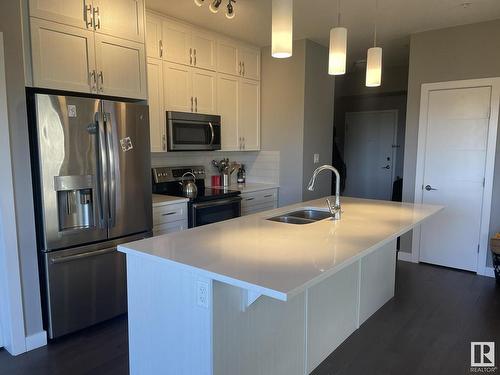 402 8525 91 Street Nw, Edmonton, AB - Indoor Photo Showing Kitchen With Double Sink