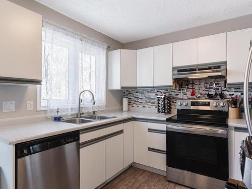 3819 23 Street, Edmonton, AB - Indoor Photo Showing Kitchen With Double Sink