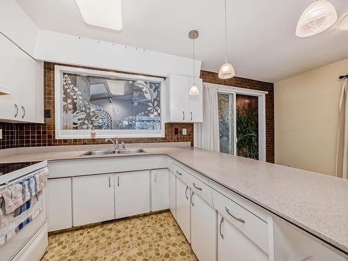 4912 116 Street, Edmonton, AB - Indoor Photo Showing Kitchen With Double Sink