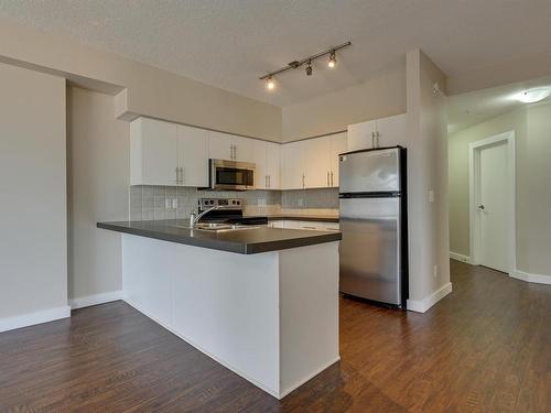 1402 10136 104 Street, Edmonton, AB - Indoor Photo Showing Kitchen With Double Sink