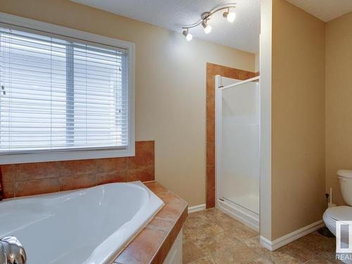 1050 Mckinney Green, Edmonton, AB - Indoor Photo Showing Bathroom