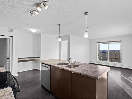 332 504 Albany Way, Edmonton, AB - Indoor Photo Showing Kitchen With Double Sink With Upgraded Kitchen