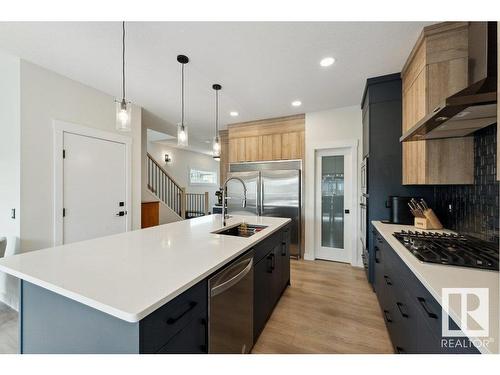 22527 99 Avenue, Edmonton, AB - Indoor Photo Showing Kitchen With Upgraded Kitchen