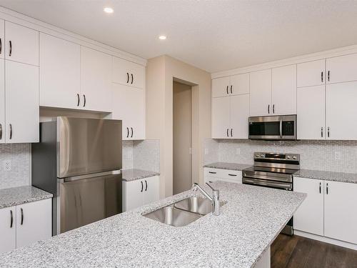 20516 22 Avenue, Edmonton, AB - Indoor Photo Showing Kitchen With Double Sink With Upgraded Kitchen