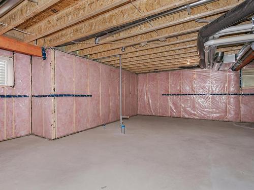 20516 22 Avenue, Edmonton, AB - Indoor Photo Showing Basement