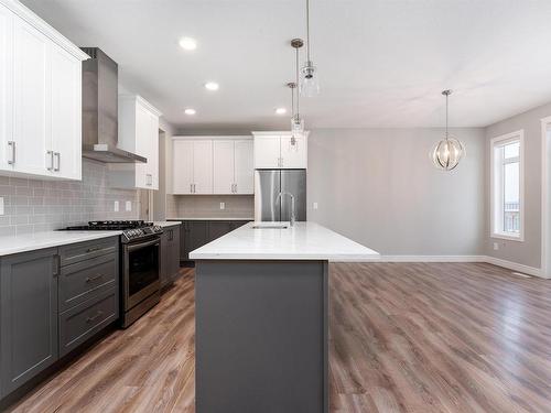 16720 30 Avenue, Edmonton, AB - Indoor Photo Showing Kitchen With Upgraded Kitchen