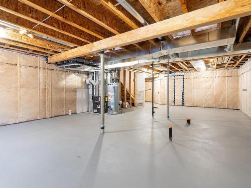 16720 30 Avenue, Edmonton, AB - Indoor Photo Showing Basement