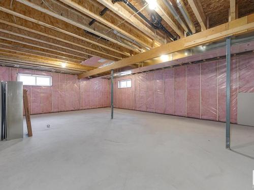 179 Stonehouse Way, Leduc, AB - Indoor Photo Showing Basement