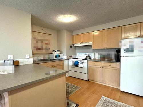 202 9730 106 Street, Edmonton, AB - Indoor Photo Showing Kitchen