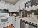 36 9914 80 Avenue, Edmonton, AB  - Indoor Photo Showing Kitchen With Double Sink 