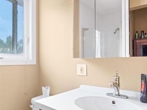 73 23054 Twp Road 512 Sw, Rural Strathcona County, AB - Indoor Photo Showing Bathroom