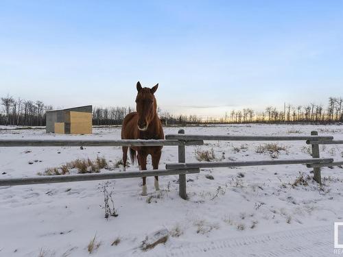 61016 Hwy 897, Rural Bonnyville M.D., AB - Outdoor With View