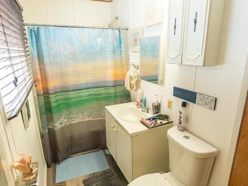 803 Marine Drive Drive Nw, Rural Wetaskiwin County, AB - Indoor Photo Showing Bathroom