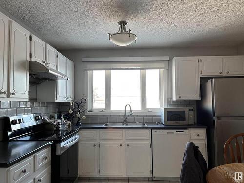 1181 68 Street Nw, Edmonton, AB - Indoor Photo Showing Kitchen With Double Sink